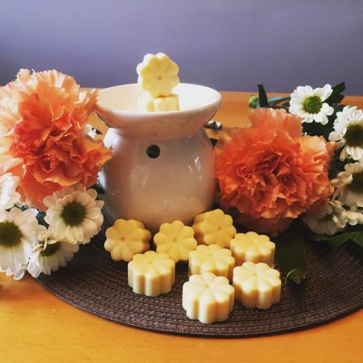 wax melts