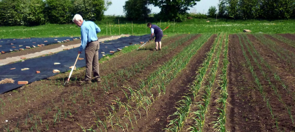 Organic Farmers and Beekeepers are Natural Partners