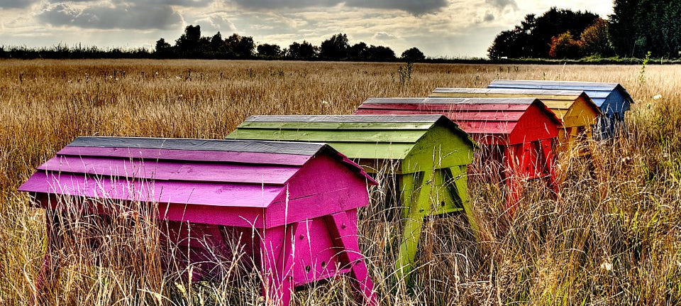 Low Carbon Beekeeping